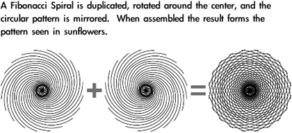 design-sunflower