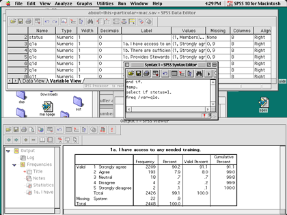 spss-workspace