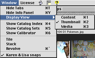 iv-06-window-menu
